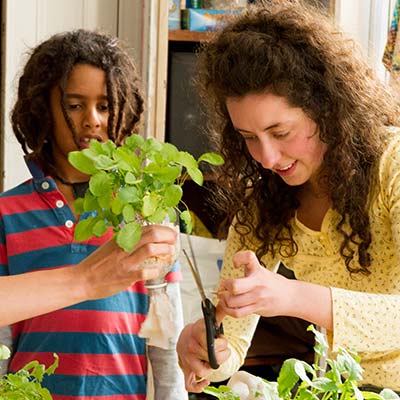nyc_cycleoflearning_plants